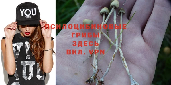 метамфетамин Магас