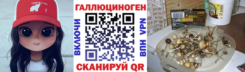 сайты даркнета официальный сайт  kraken ссылки  Ессентукская  Галлюциногенные грибы Psilocybine cubensis 